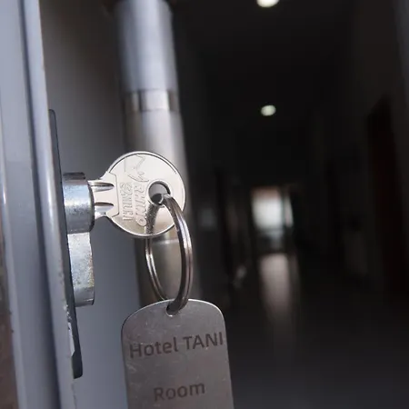 Hotel Tani *